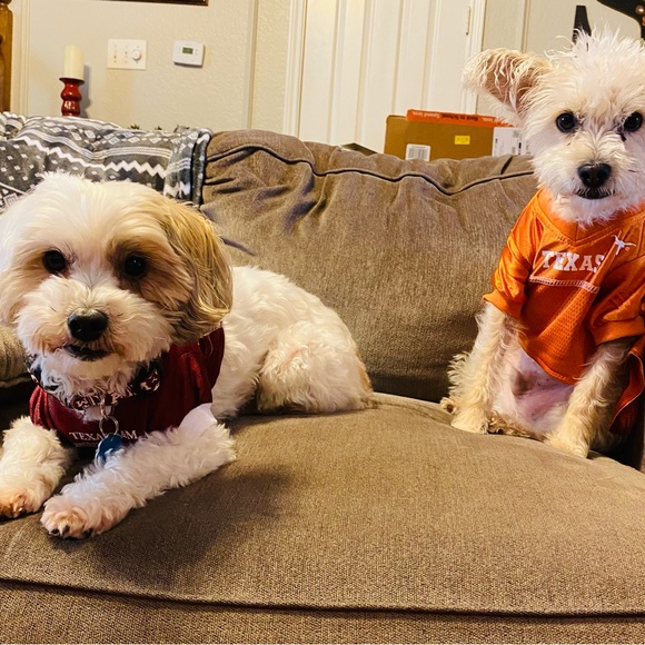 Meet your Posher, April - Picture 5 of 13